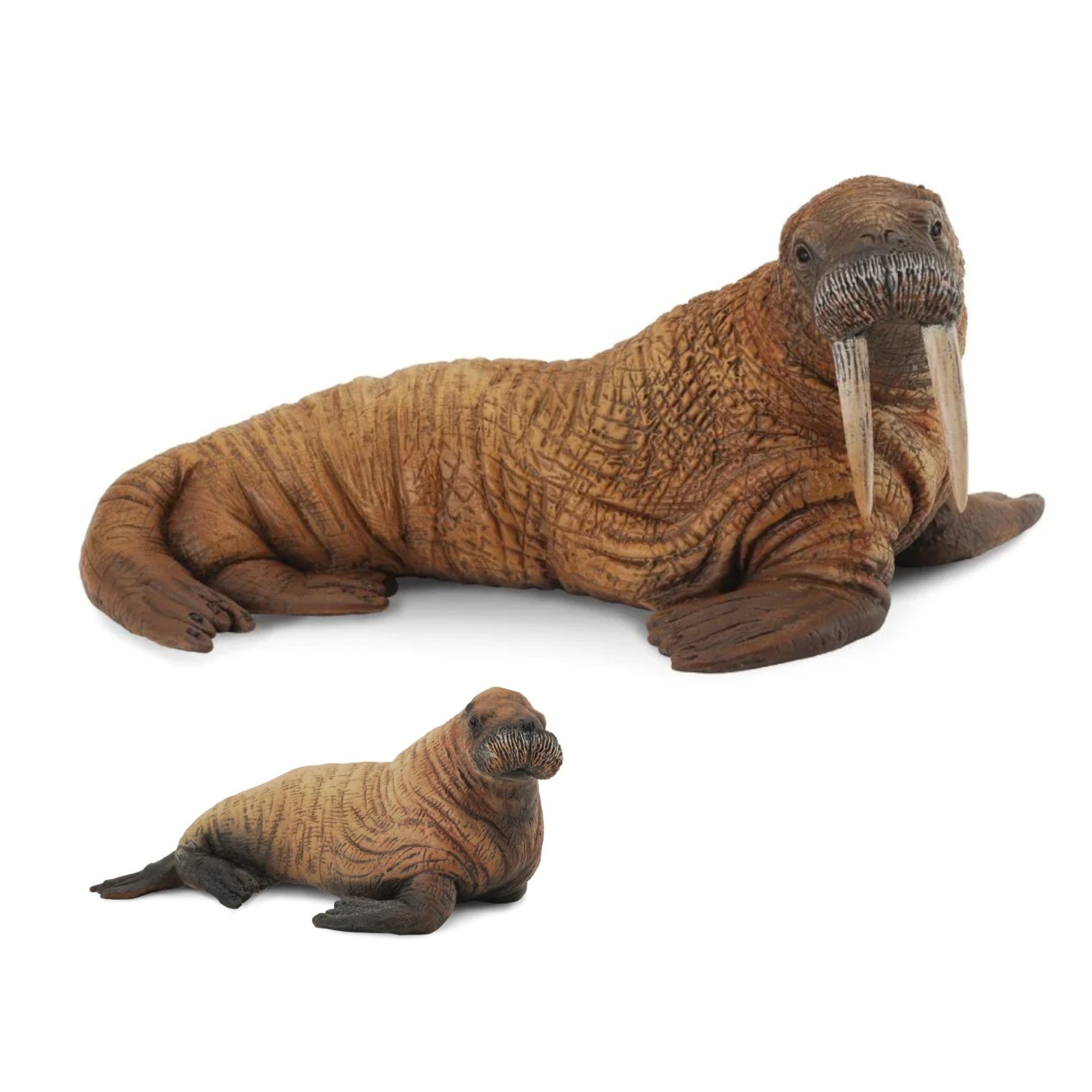 Set Walrus Leading Children set-walrus-leading-children