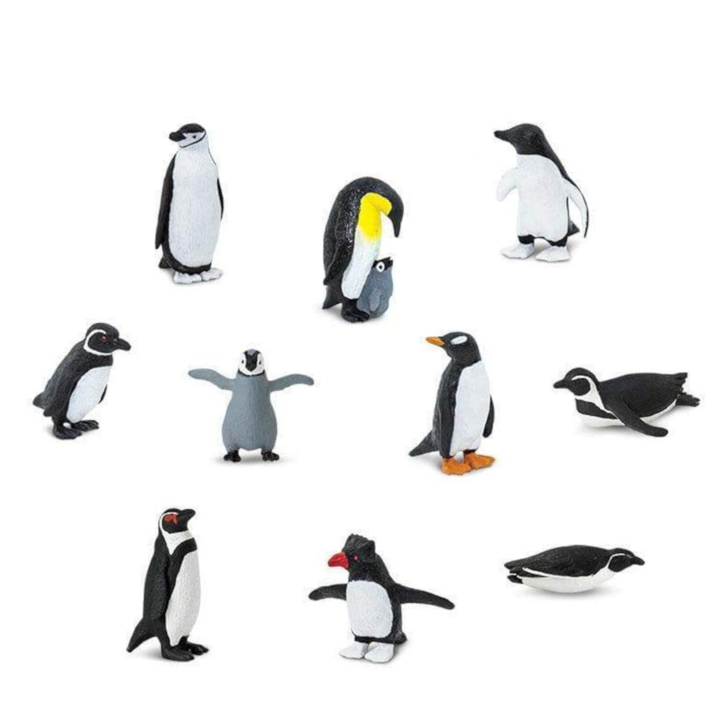Assorted Penguins