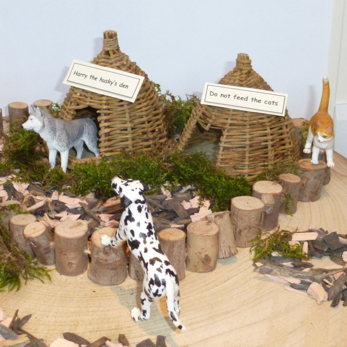 Willow Wigwams