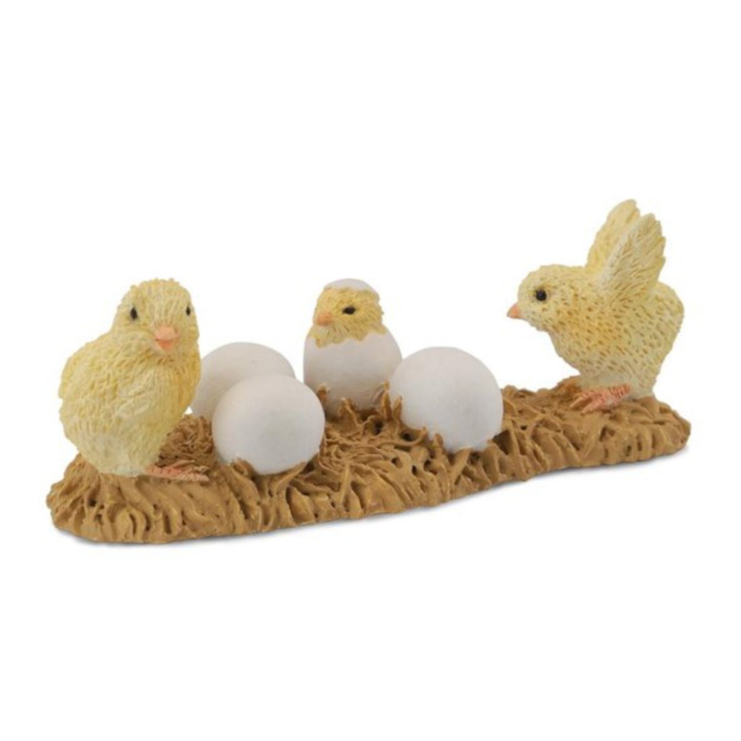 Chicks