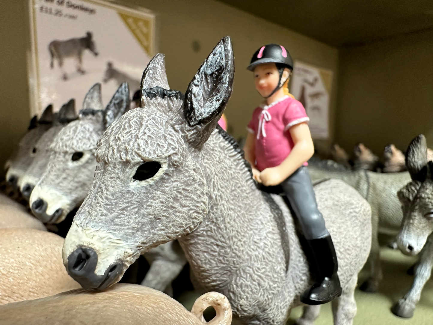 Riding Child