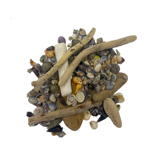 Driftwood and Shells Collection