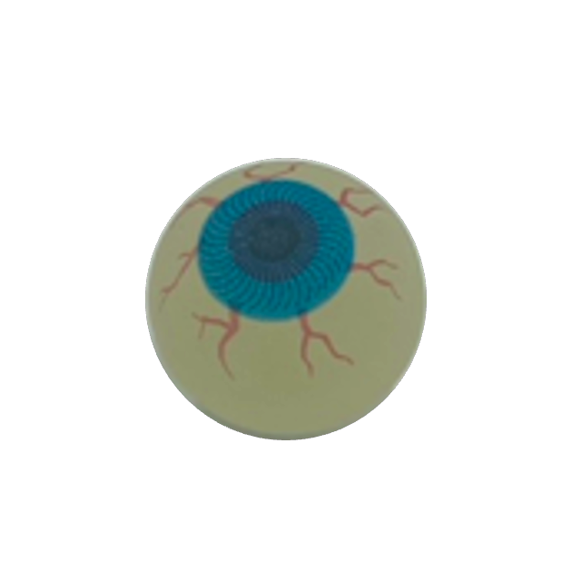 Eyeball