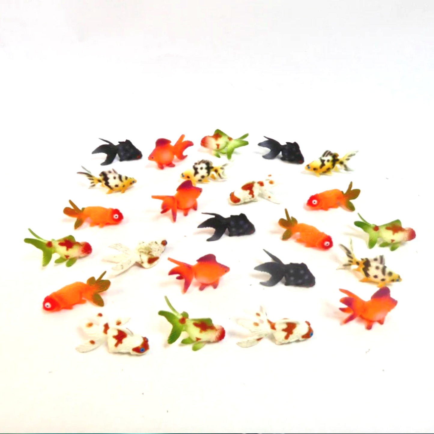 Set- Fancy Fish (24)