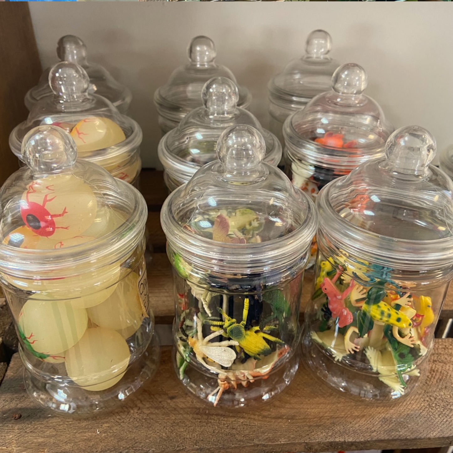 Medium Plastic Bottle with Lid - 380ml