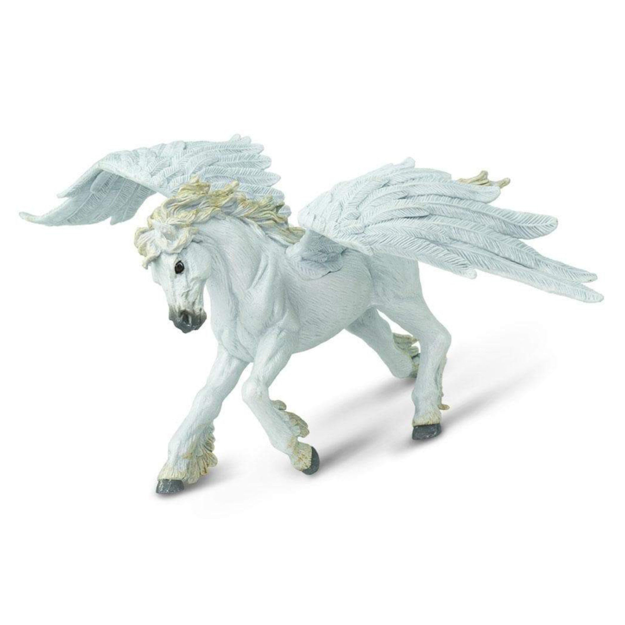 Pegasus â Leading Children