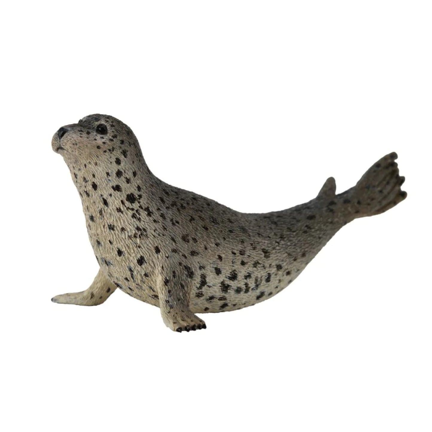 Seal