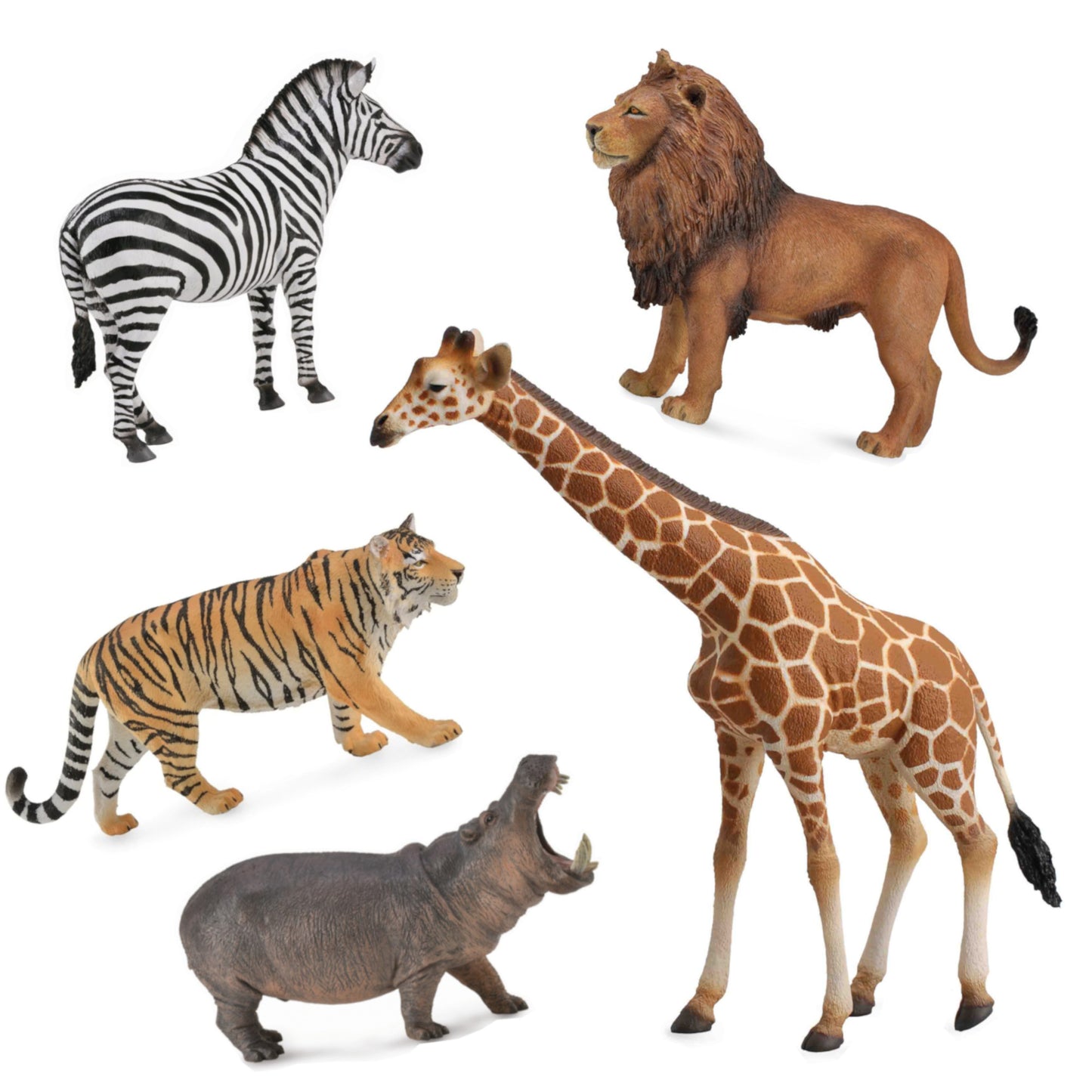 Small Set of Wild Animals