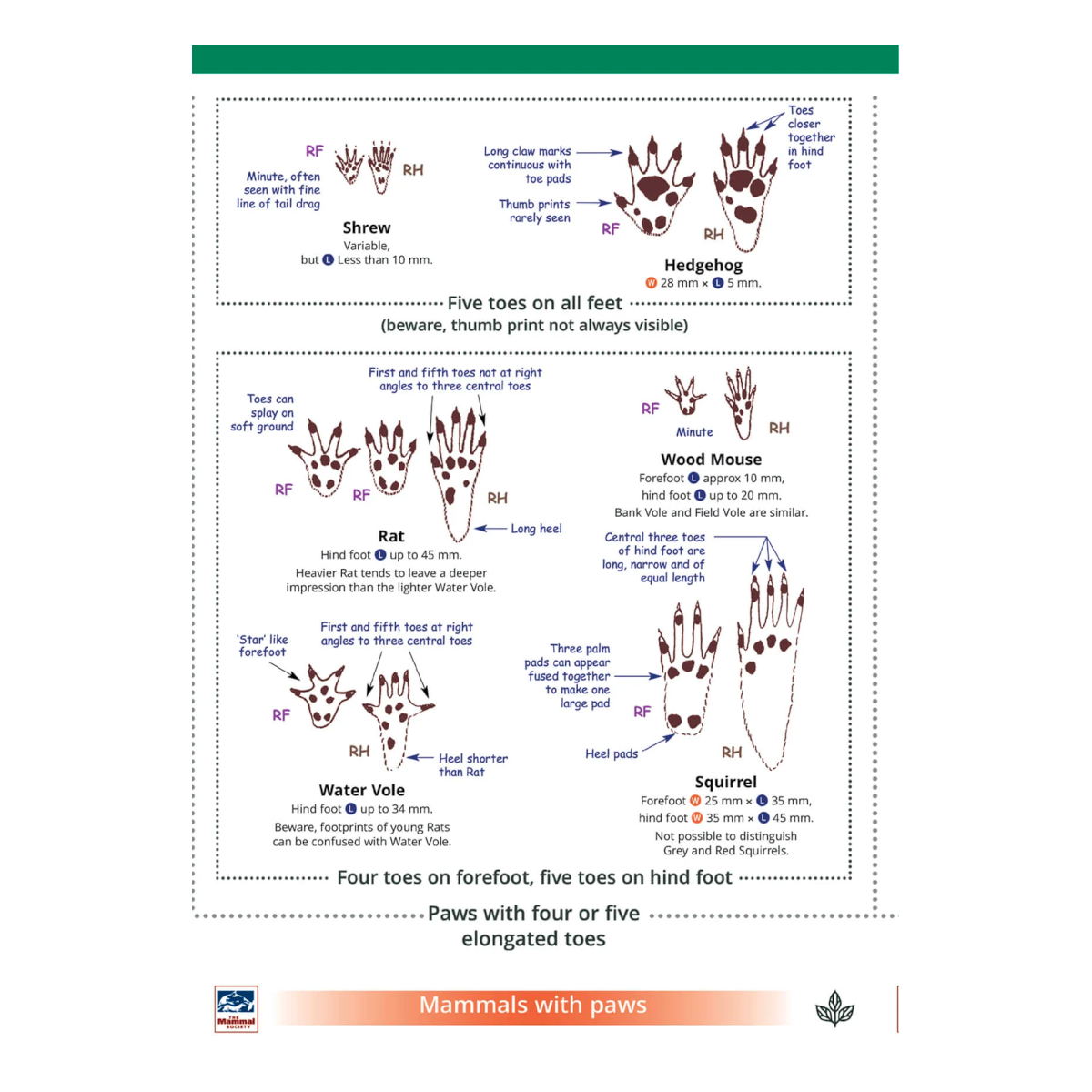 Mammal Tracks and Signs Guide