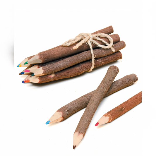 Twig Colouring Pencils - Large
