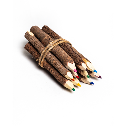 Twig Colouring Pencils - Small