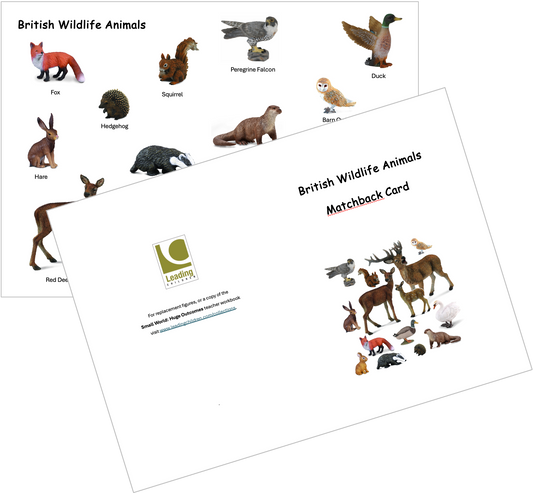 British Wildlife Animals Matchback Card