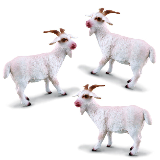 3 Billy Goats