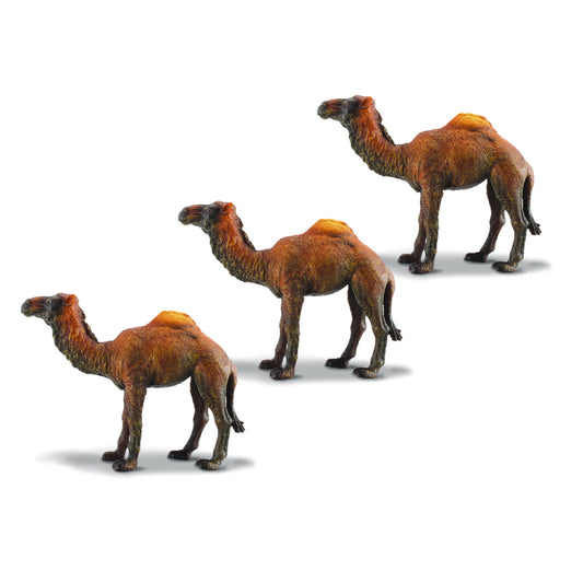 3 Camels