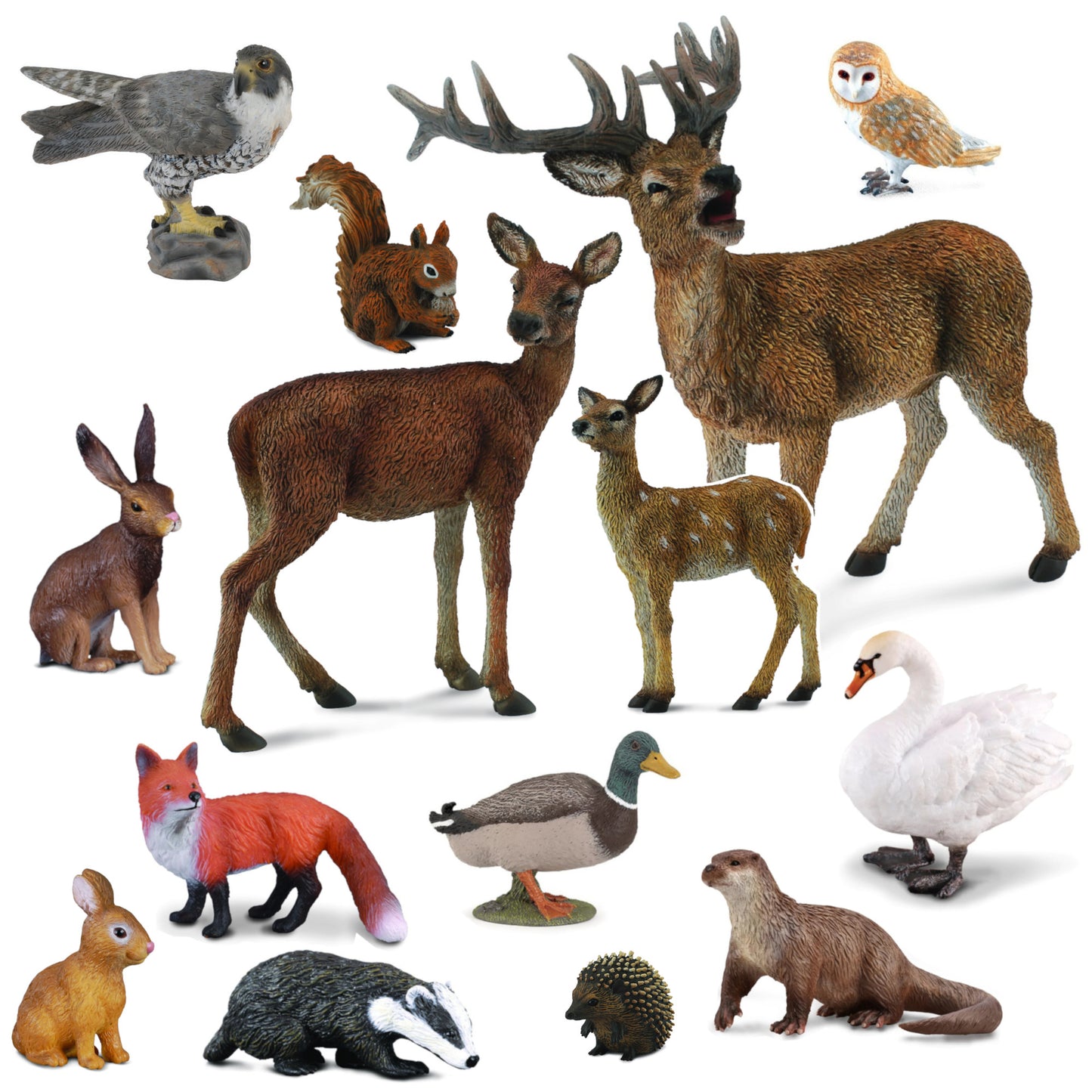 British Wildlife Animals