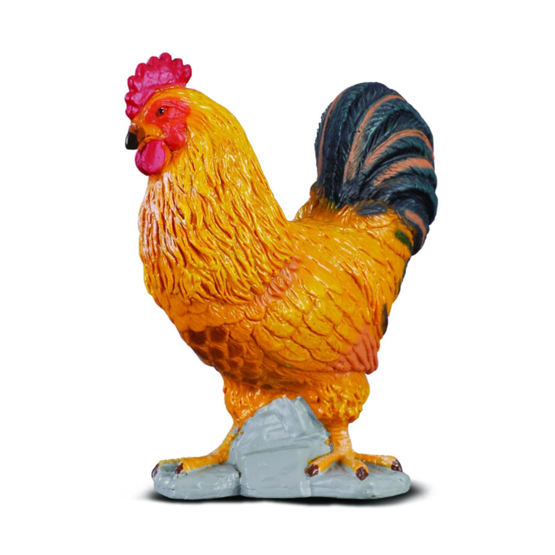 Cockerel