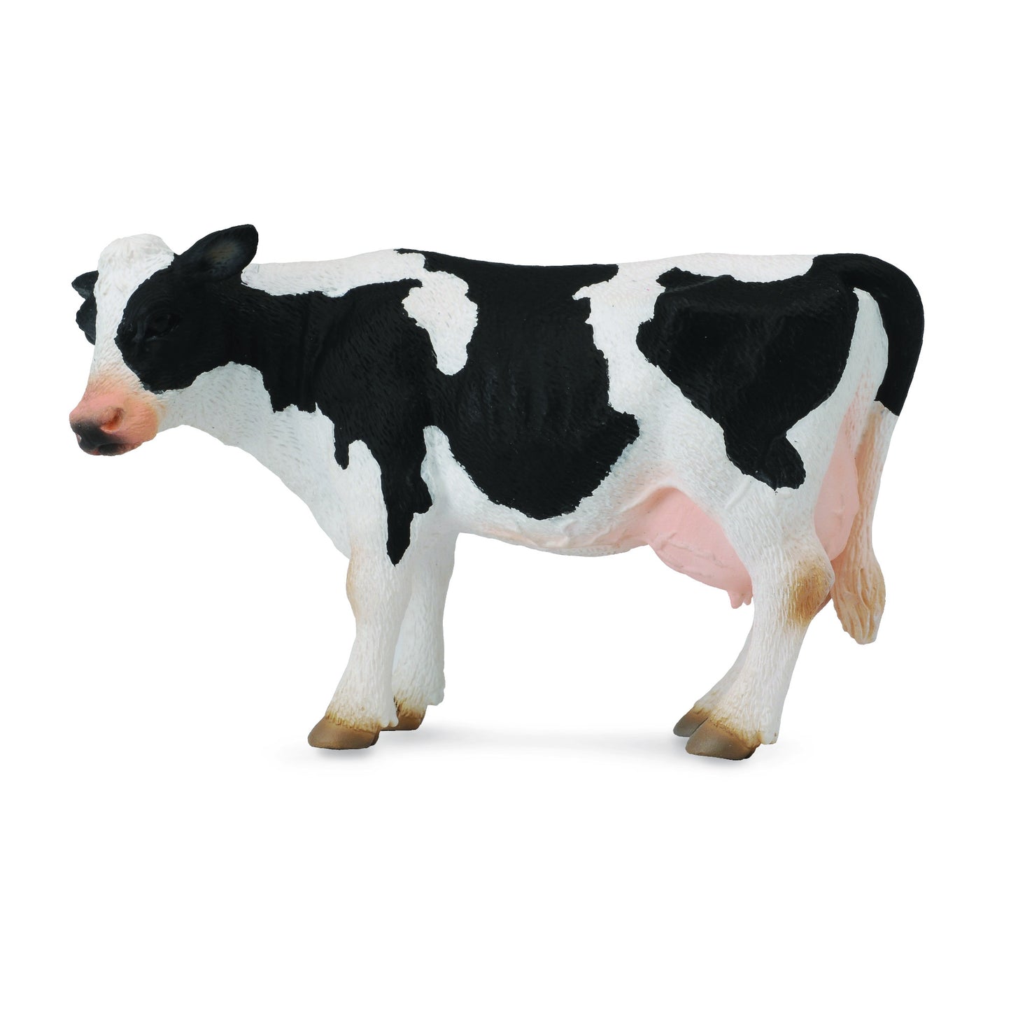 Friesian Cow