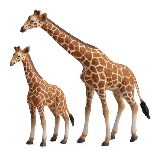 Giraffe Family