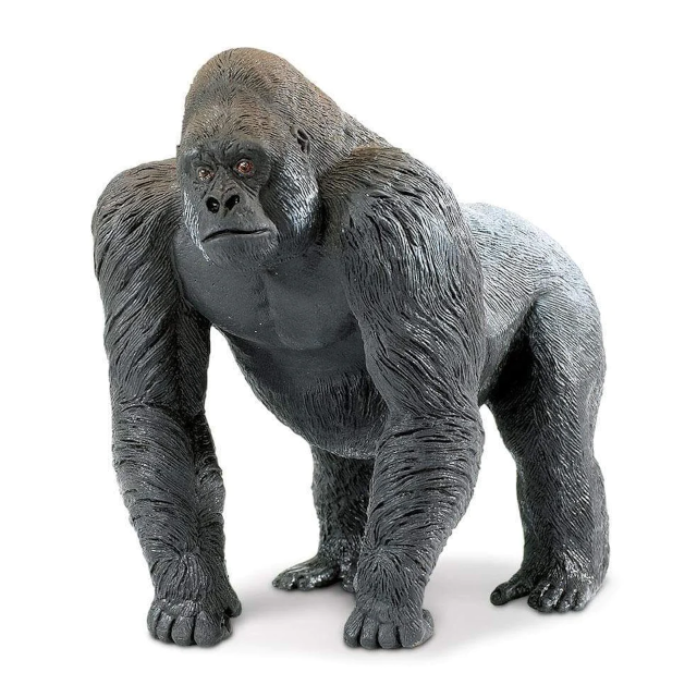 Silverback Gorilla