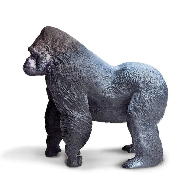 Silverback Gorilla