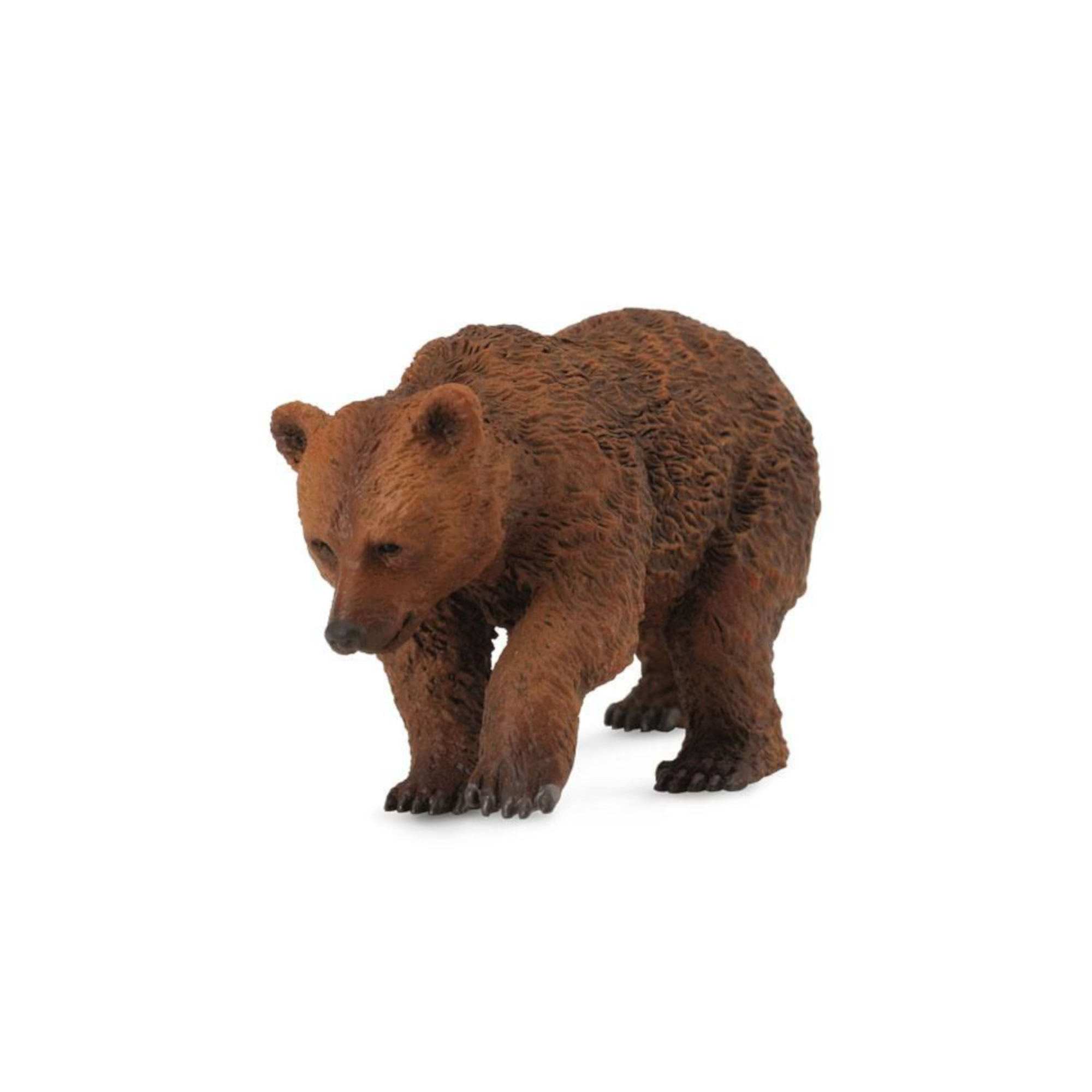 Grizzly Bear Cub – Leading Children