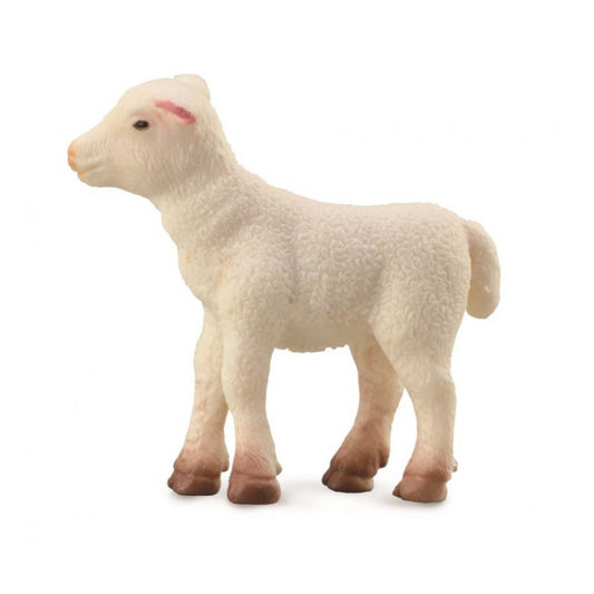 Lamb