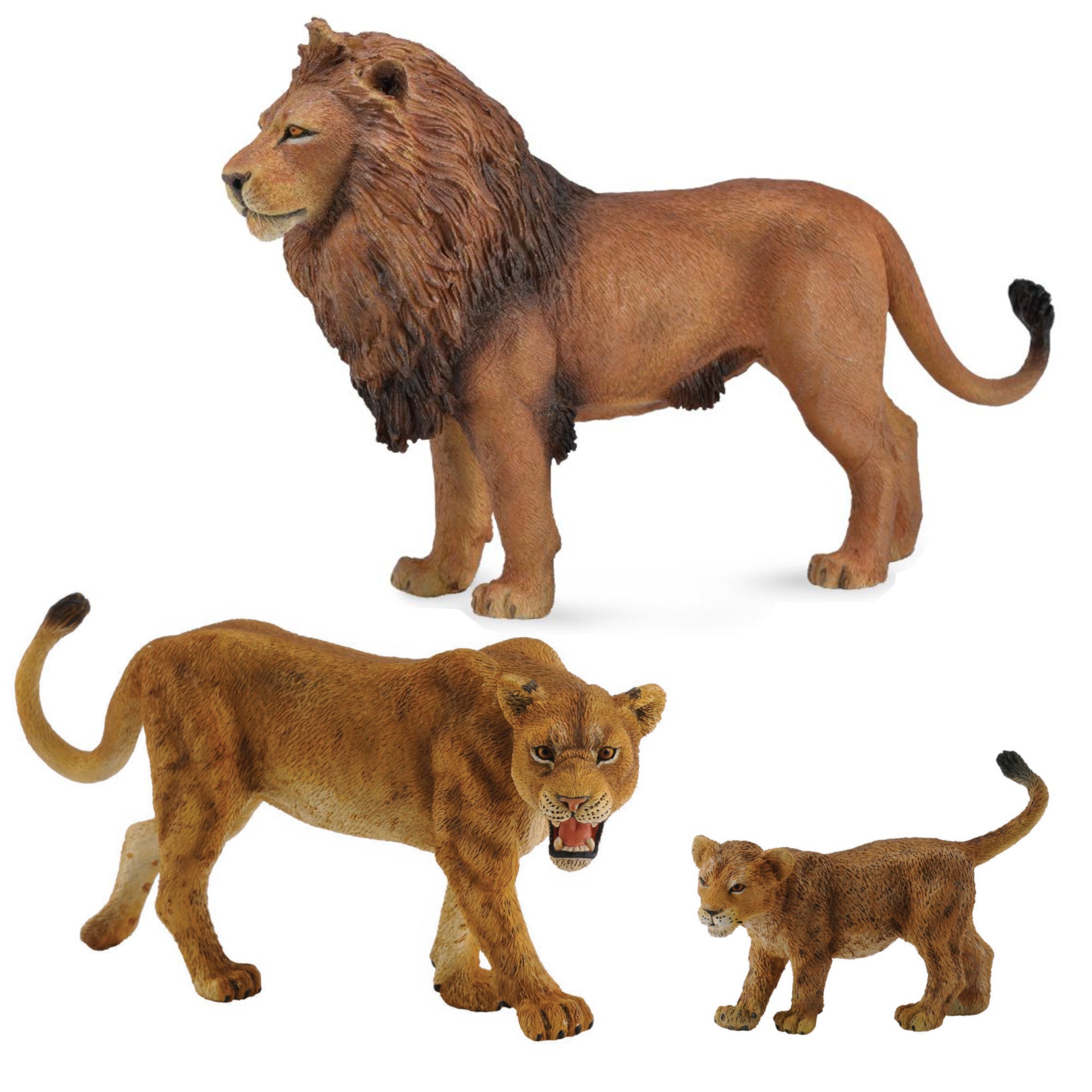 Set- Lions – Leading Children