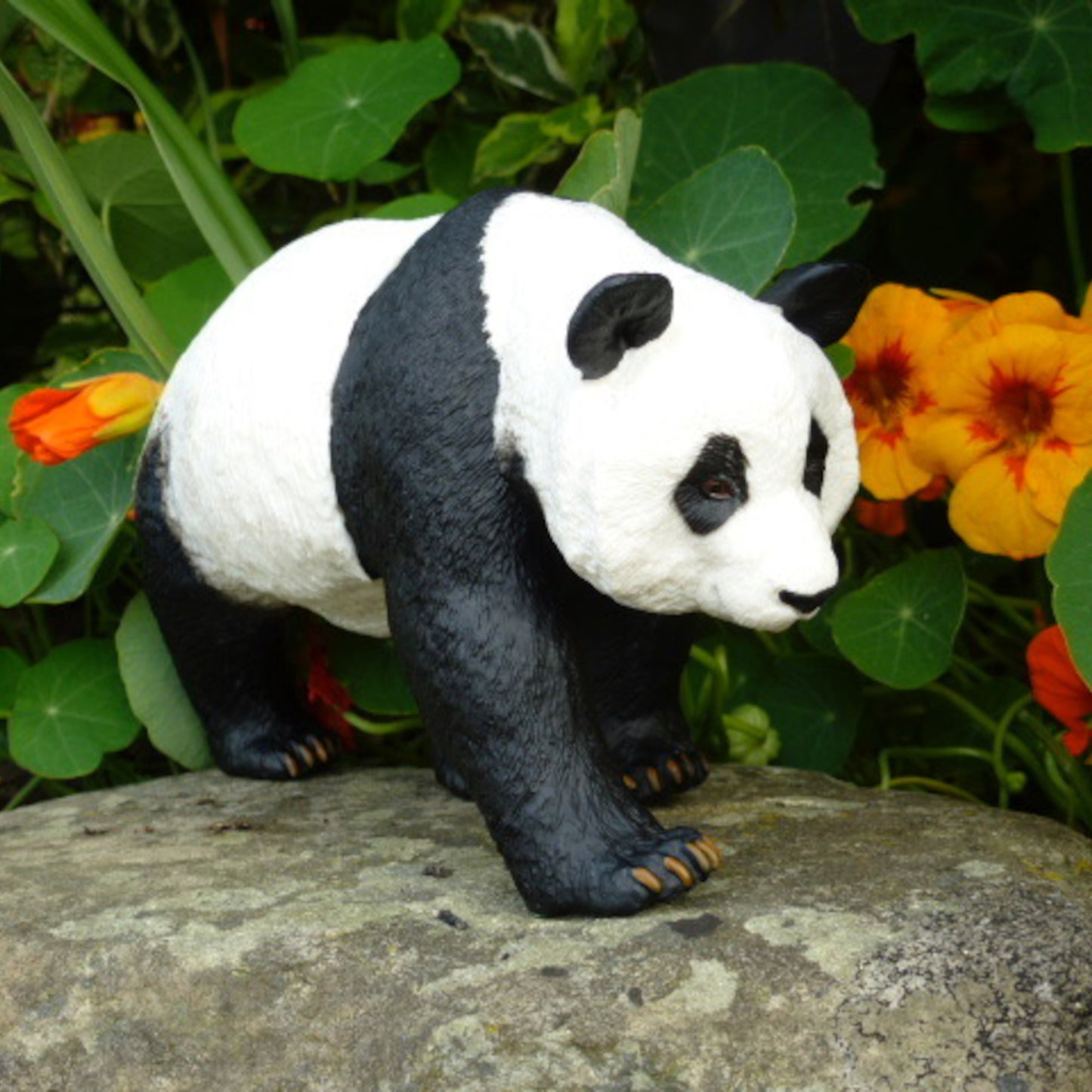 Panda2