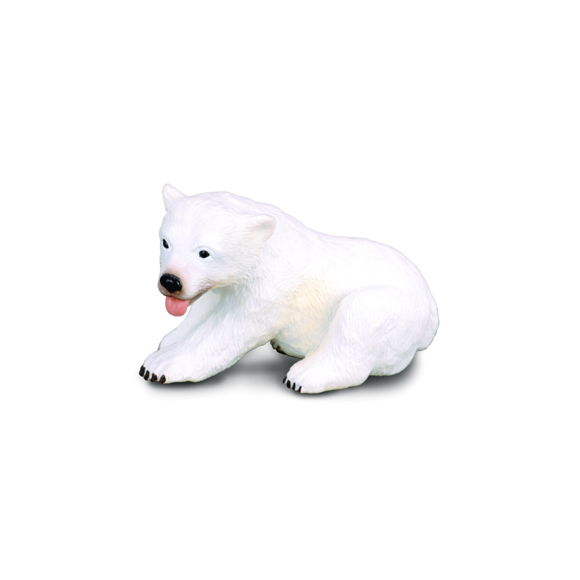 Polar Bear Cub