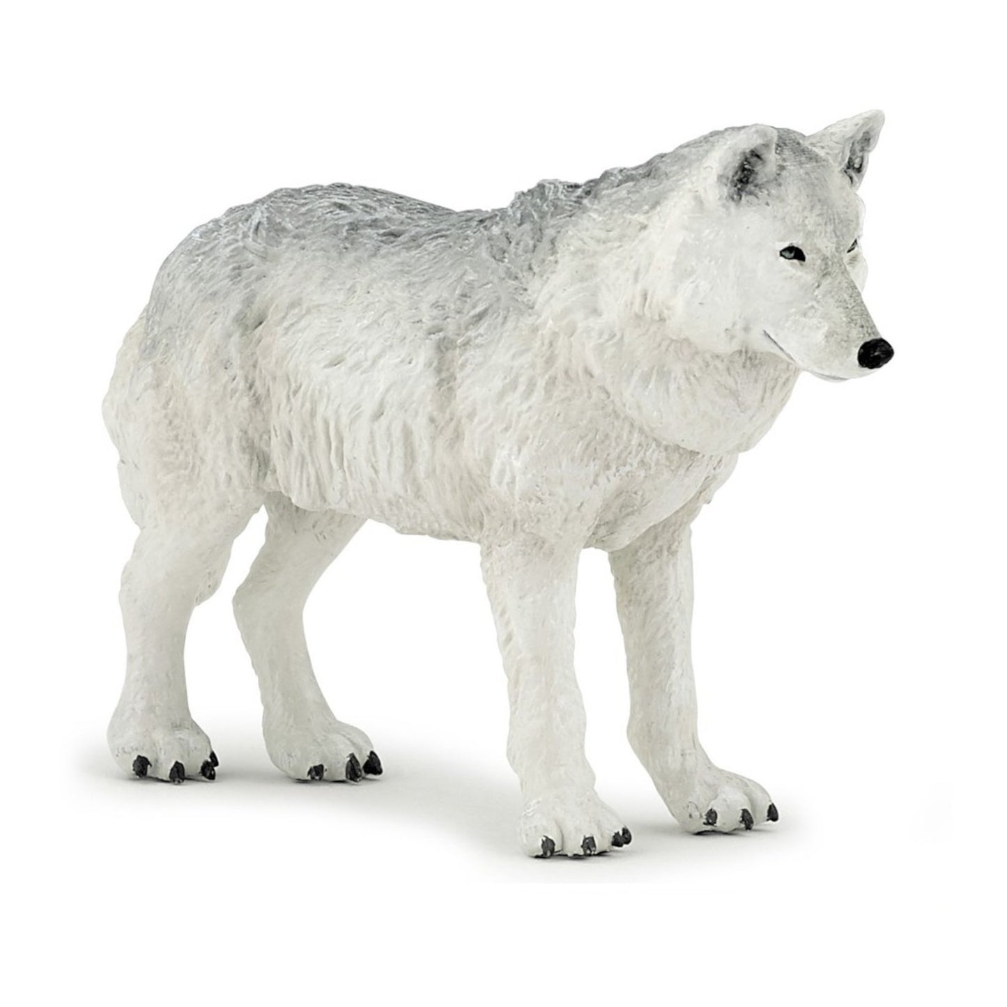 Polar Wolf