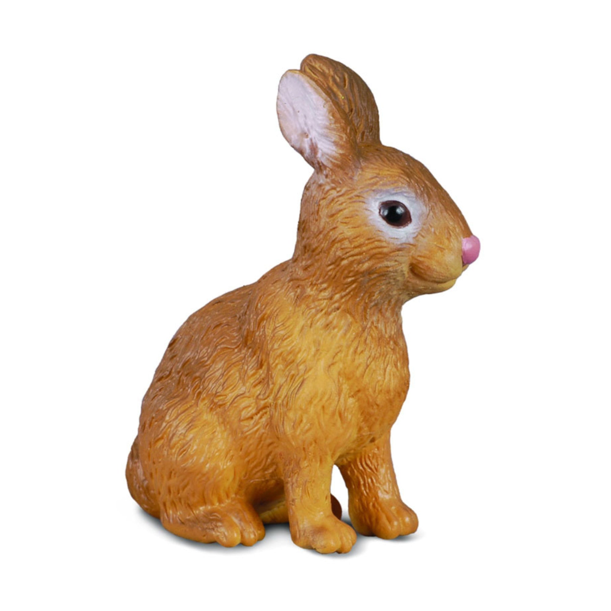 Rabbit – Leading Children