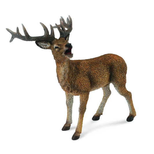 Red Deer Stag