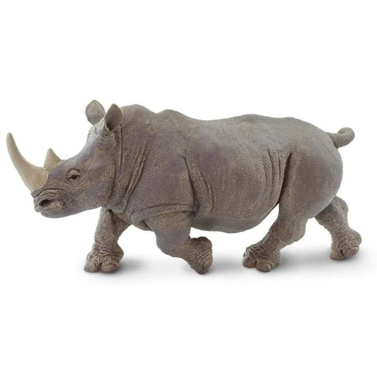 Rhinoceros