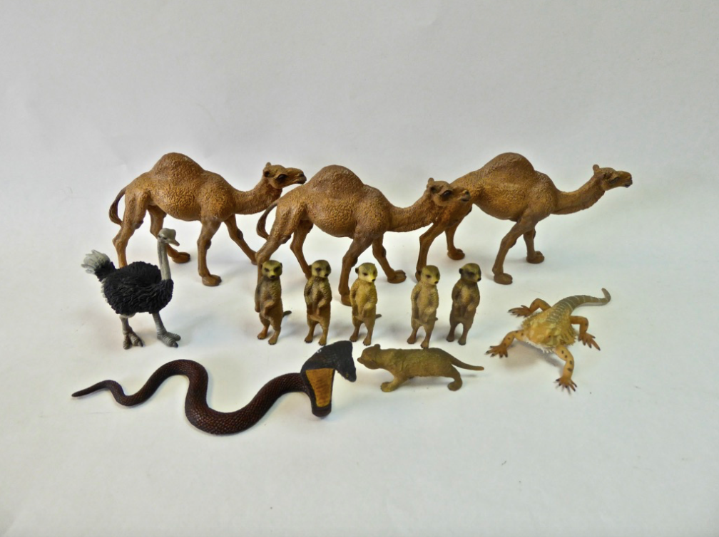 Set- Desert Animals (13pc)