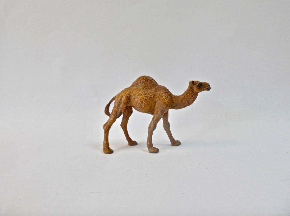 Set- Desert Animals (13pc)