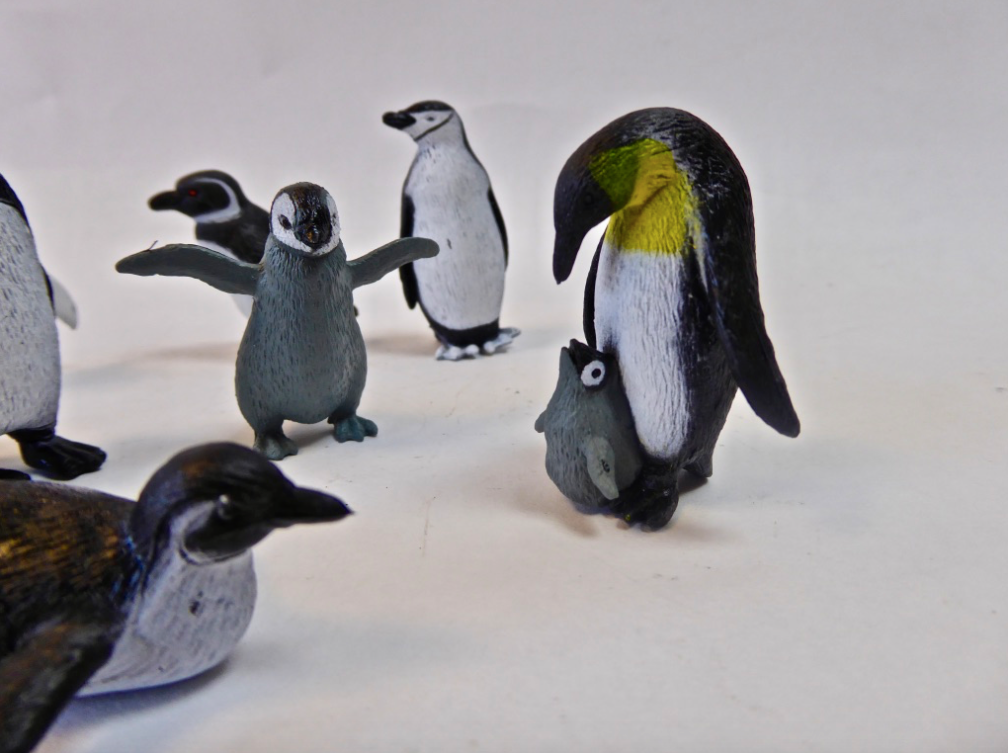 Set- Penguin Family Assorted (8)