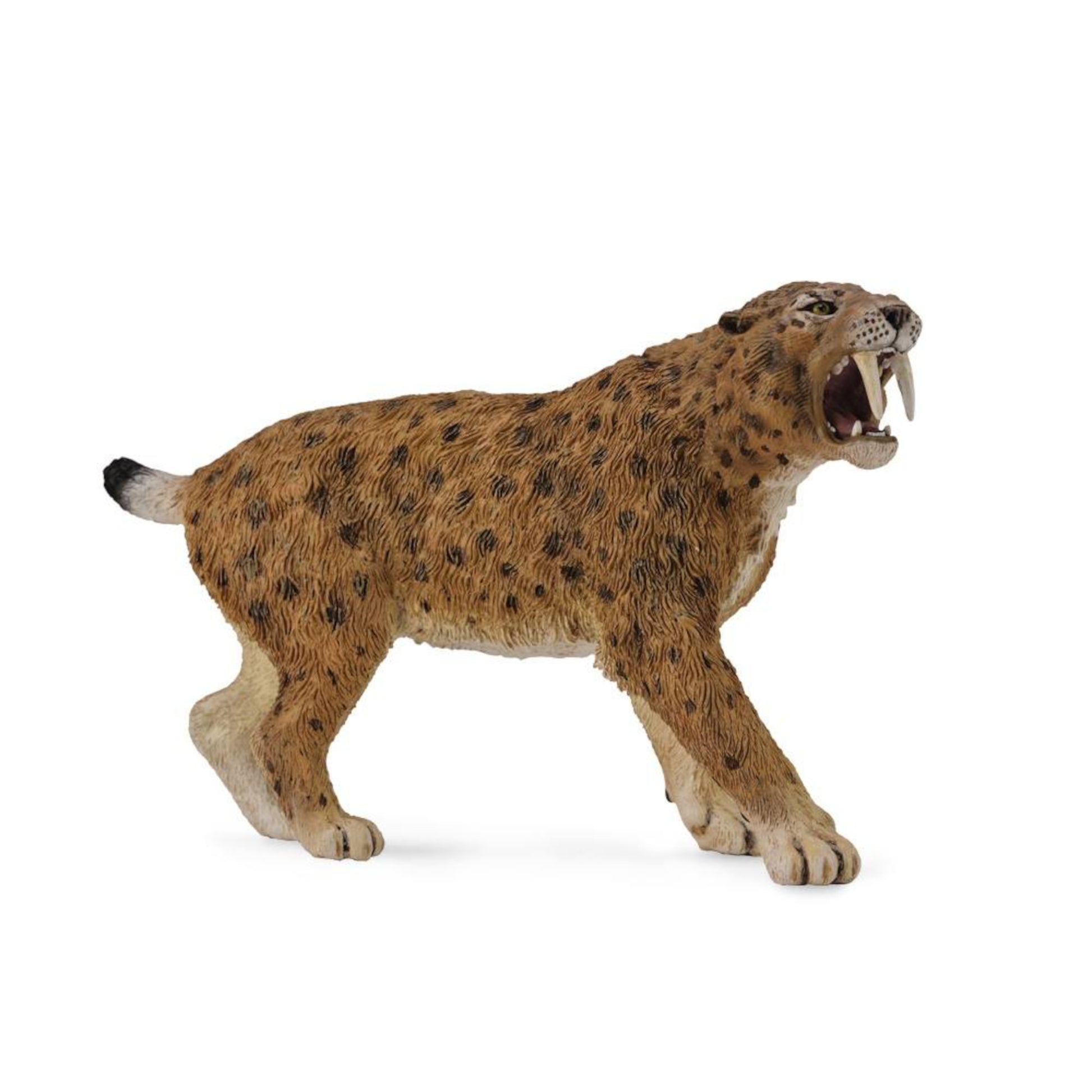 Smilodon/Sabertooth Tiger