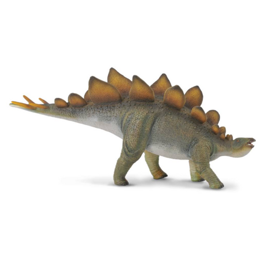 Stegosaurus