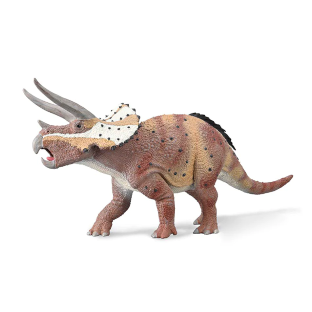 Triceratops