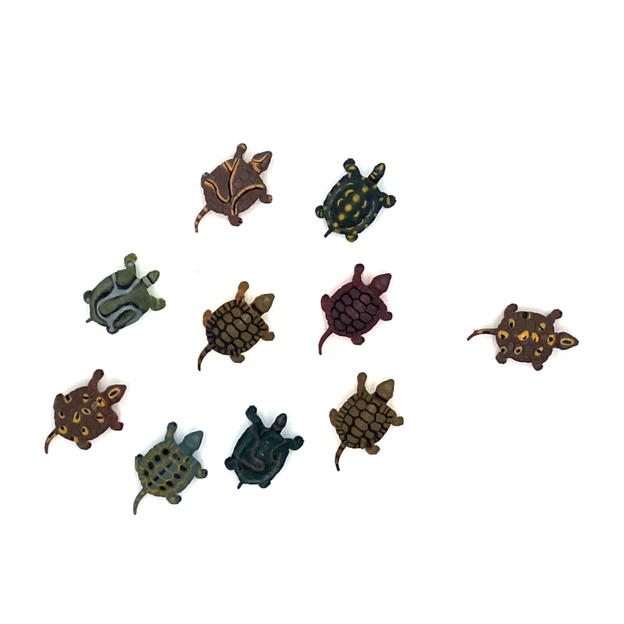 Set- Turtles (10pc) – Leading Children