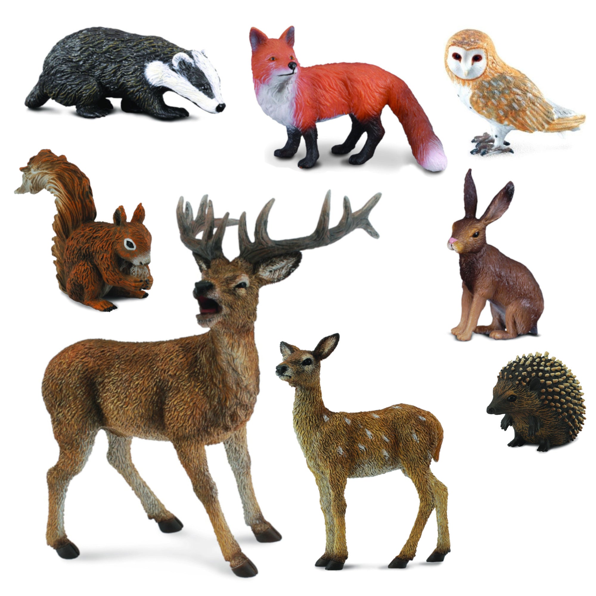 Set- Forest Animals – Leading Children