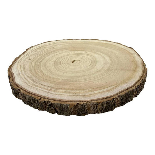 Large Log Slice