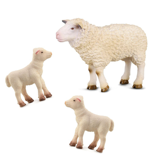 Sheep Family