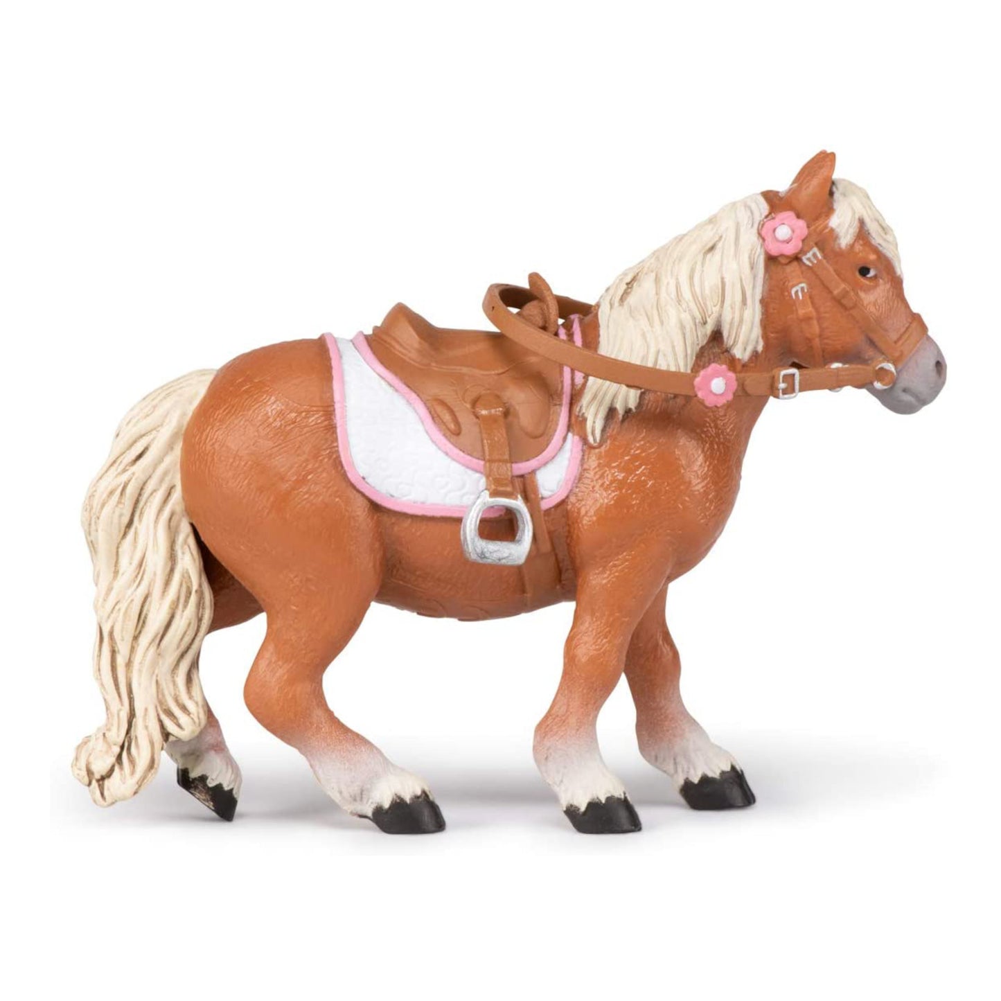 Shetland Pony with Saddle