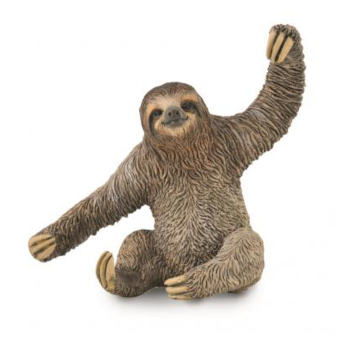 Sloth Store Sloth – Leading Children