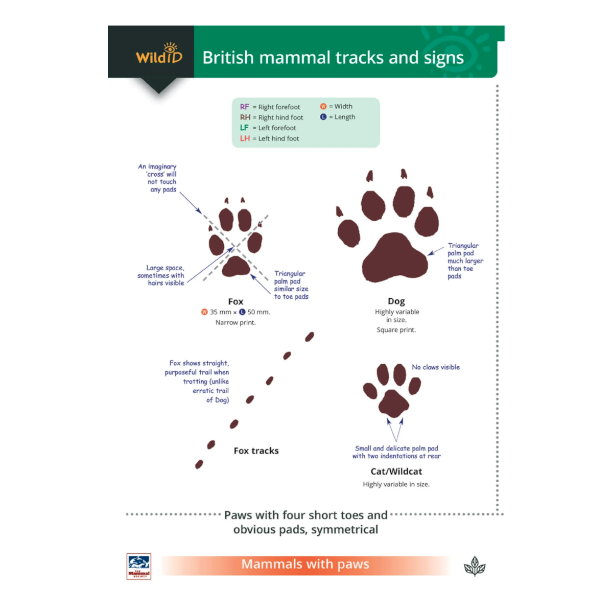 Mammal Tracks and Signs Guide